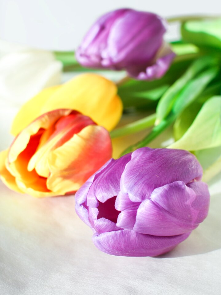 Gift floral bouquet