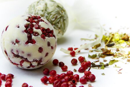 Verbena spices herbs