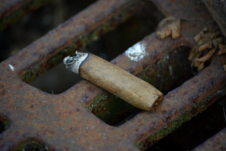 Benefit from trading gold cheroot