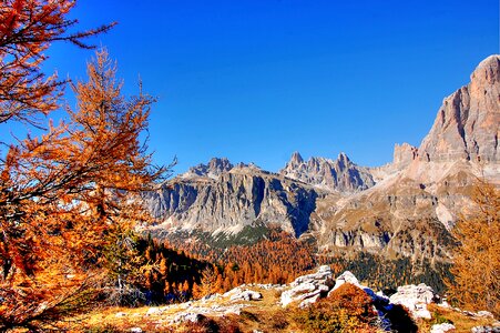 Alpine view nature photo