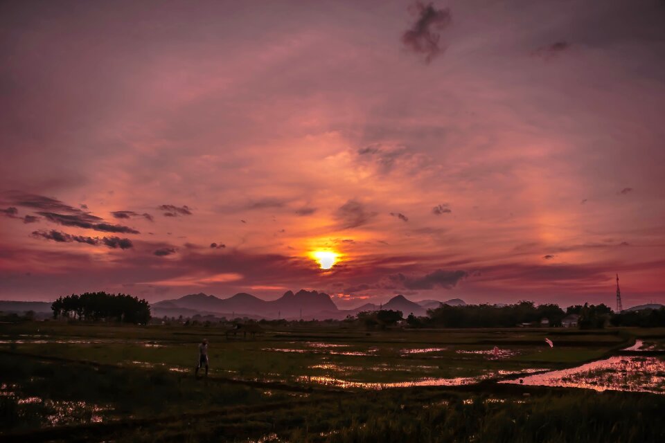 Field rain twilight