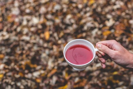 Outdoor herbal tea drink photo