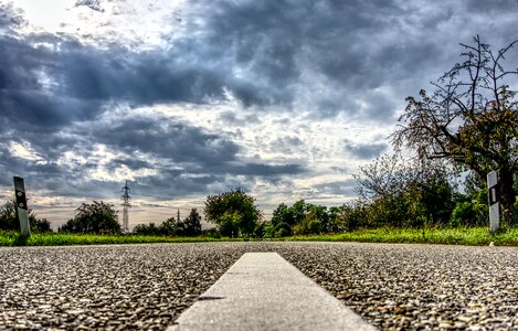 Trees forest roadway photo