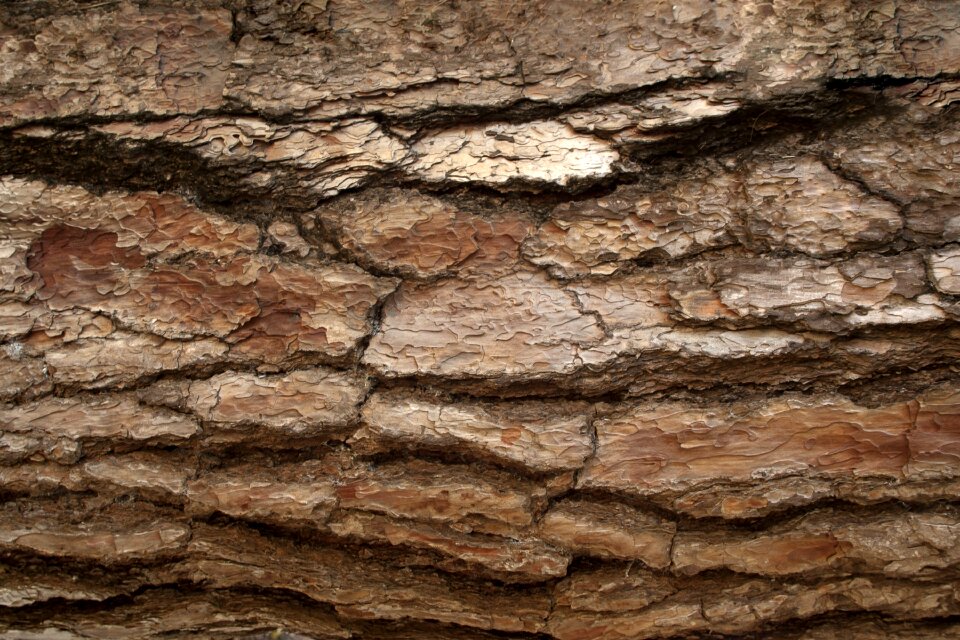 Template texture old