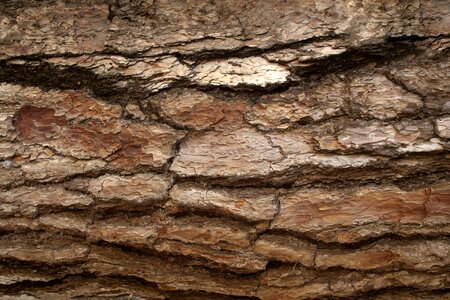 Template texture old