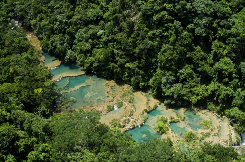 Springs waterfalls forests