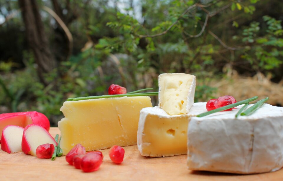 Gouda country pomegranate fruit
