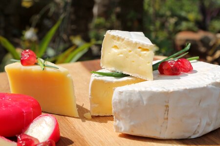 Gouda country dairy