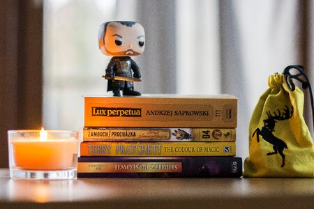 Game of thrones stannis library photo