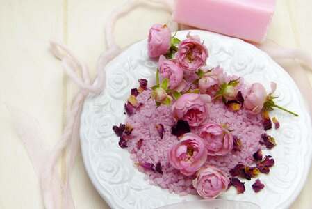 Soap blossom bloom photo
