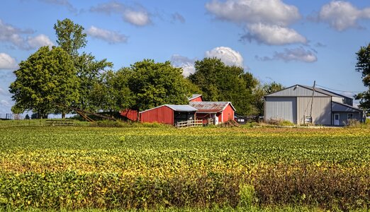 Ohio digital art rural