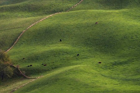 Bird's eye view landscape lying photo