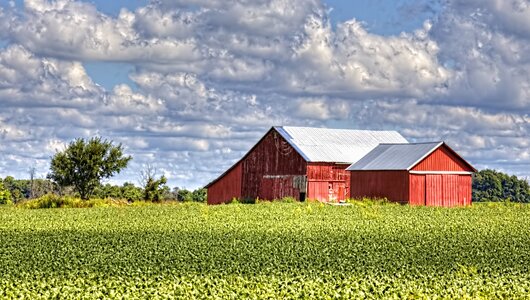 Ohio digital art rural