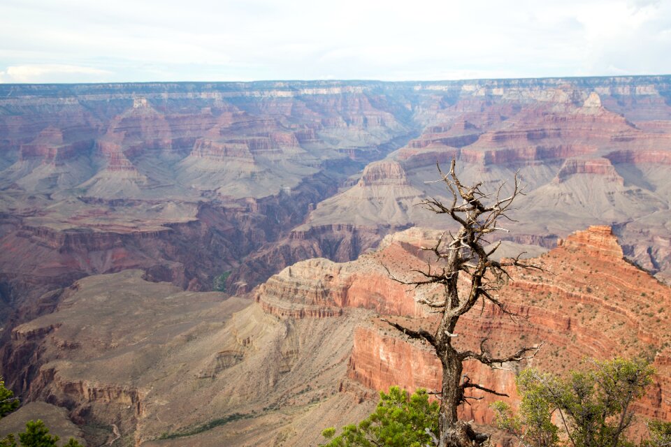 Nature erosion geology