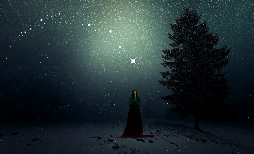 Christmas fee fairy tales