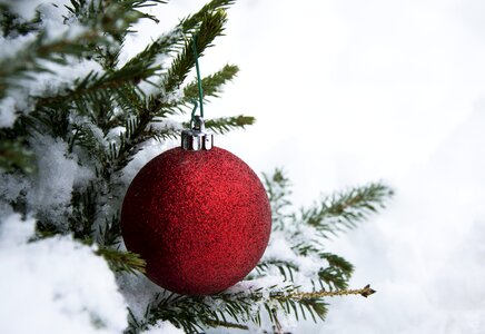 Winter tree gran