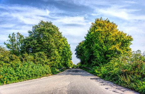 Dirt track tar green photo