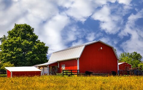 Ohio digital art rural