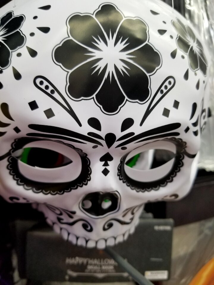 Skull top view gray skull