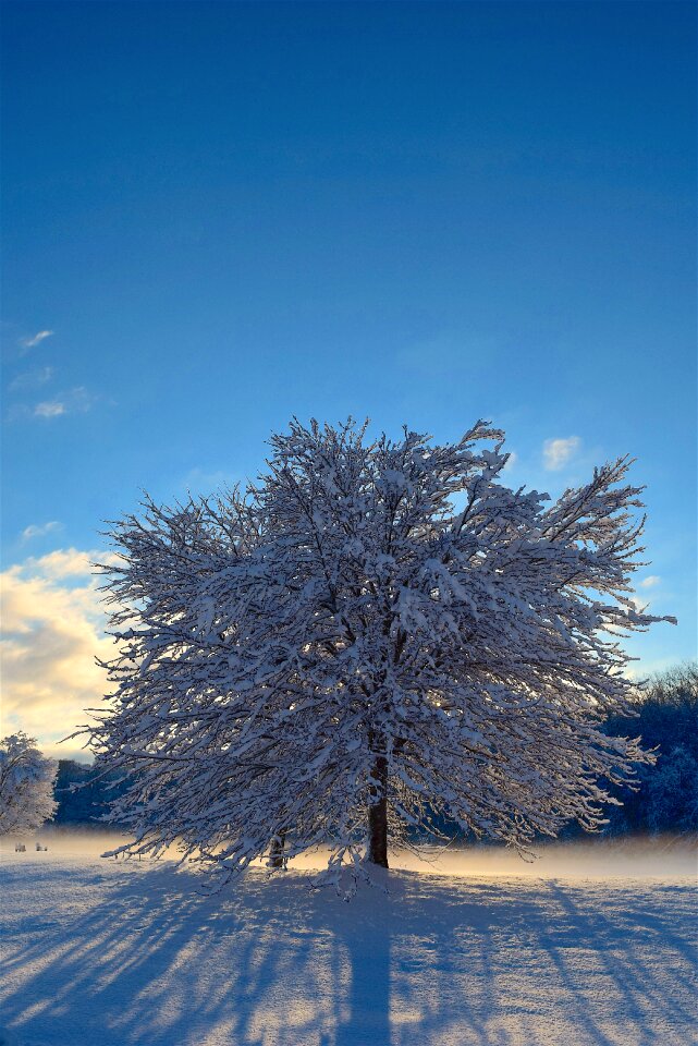 Shadow winter cold