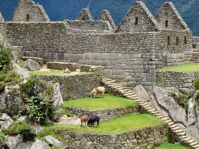 Incas peru inca photo