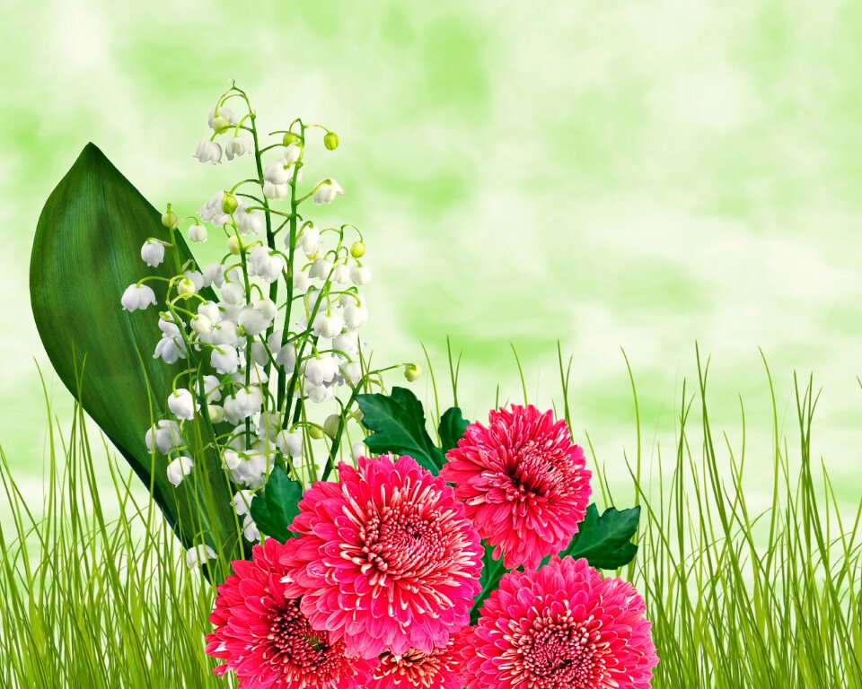Open air background flowers design