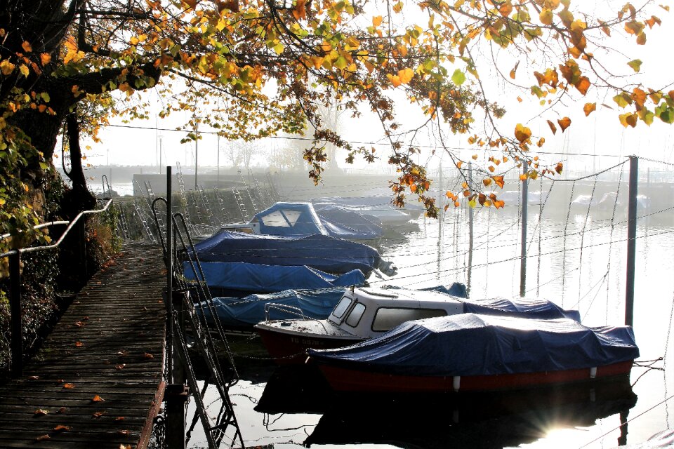 Port autumn gold mood