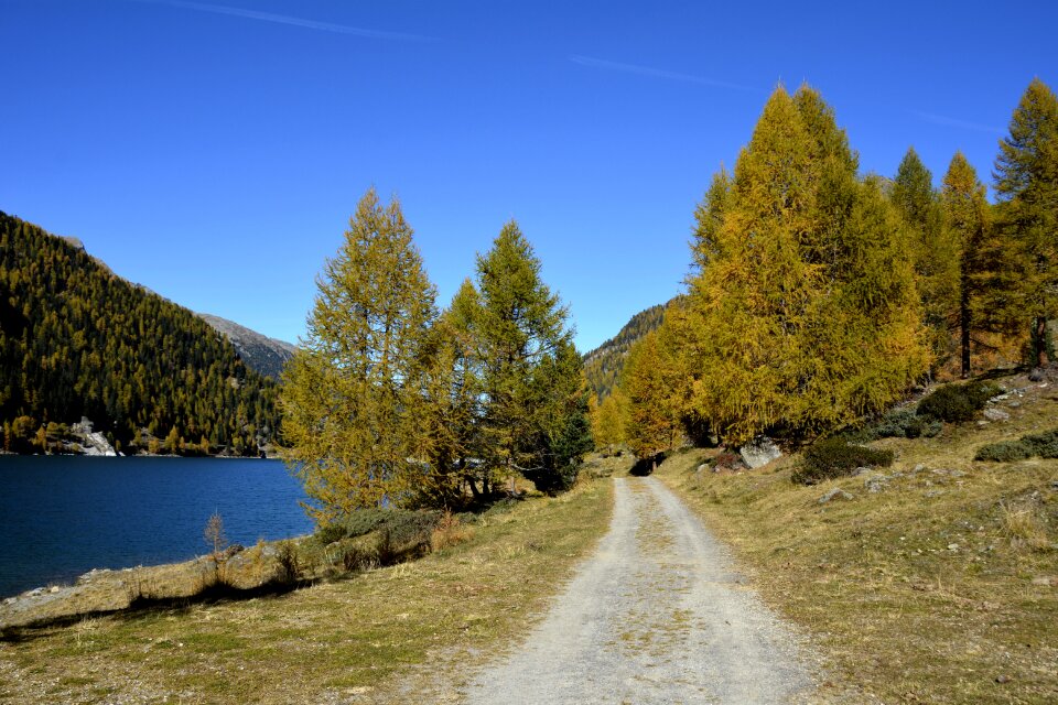 South tyrol forest lake