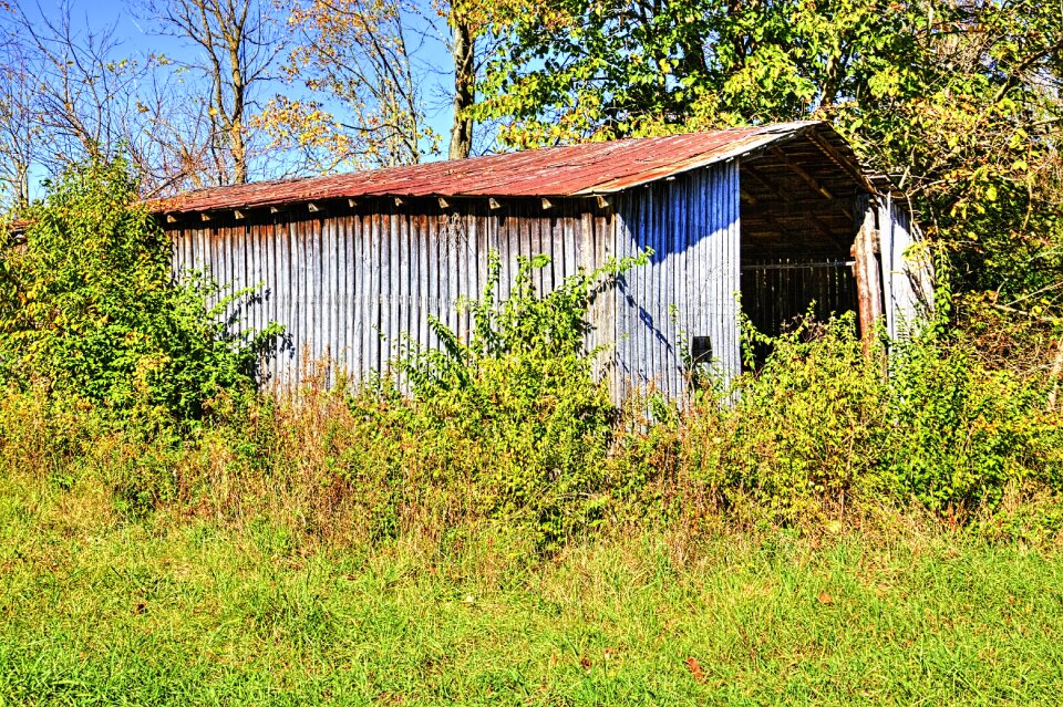 Rustic art digital art
