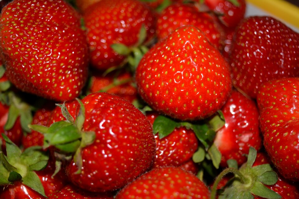 Red fruits berries