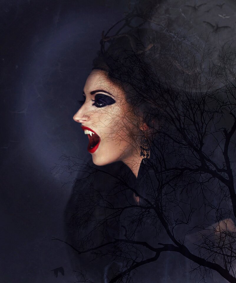 Night shape full moon bat