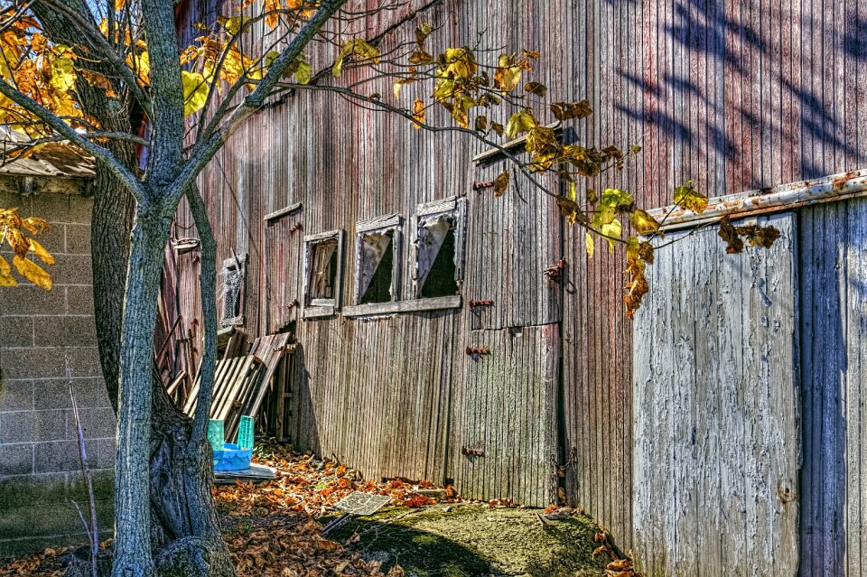 Rustic art digital art