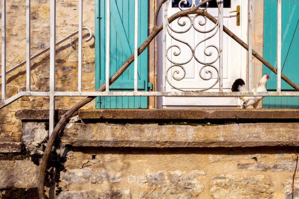 Chicken shutters old house