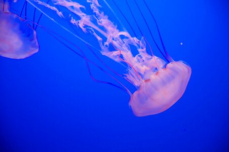 Ocean underwater dark