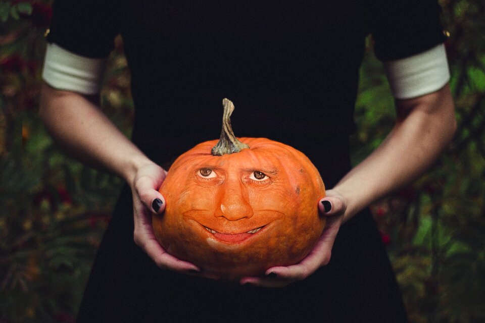 Pumpkin halloween autumn