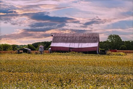 Ohio digital art rural