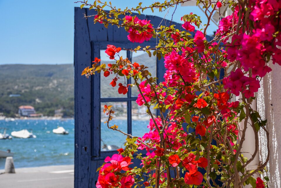 Blue colors cadaqués