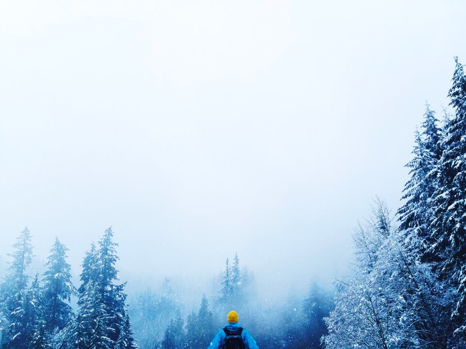 Back alone travel