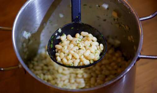 Vegetable food vegetarian