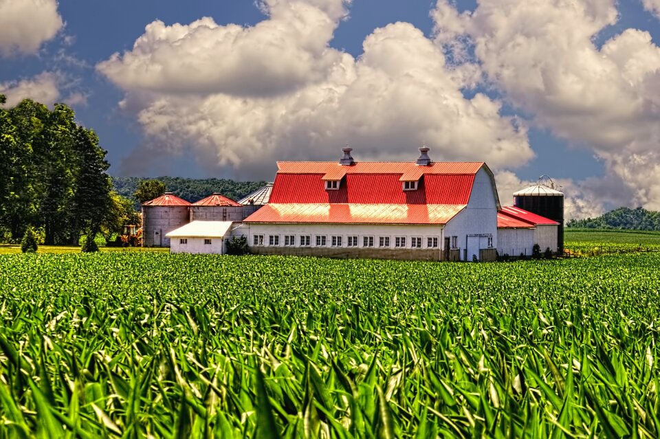Ohio digital art rural