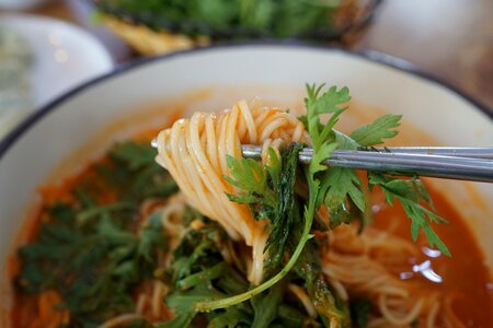 Freshwater fish fish noodles the young fish noodles