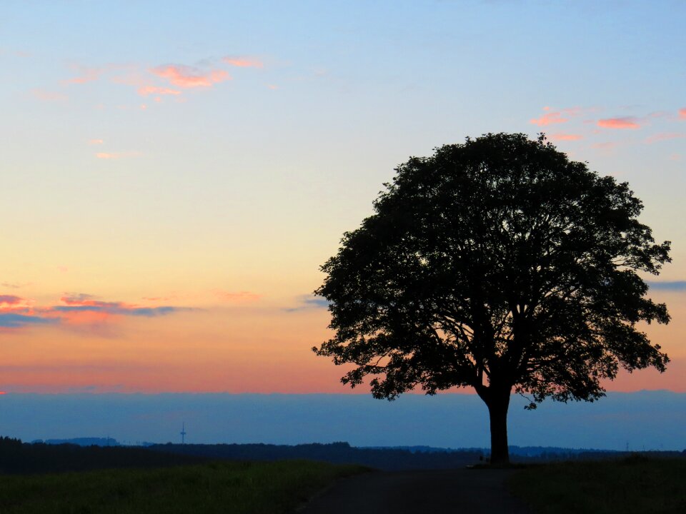Lonely nature landscape