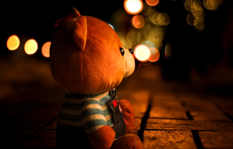 Blur outdoors brown bokeh