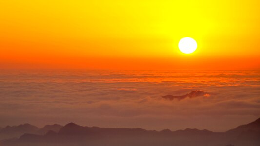 Cloud sea out wudang the golden dome