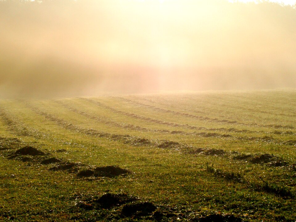 Autumn dewdrop morgentau