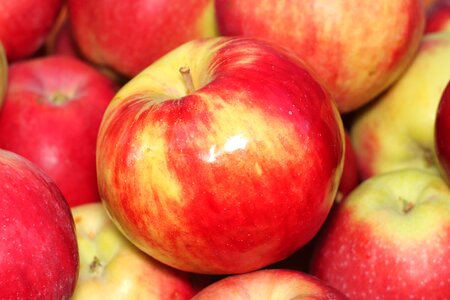 Food juicy health