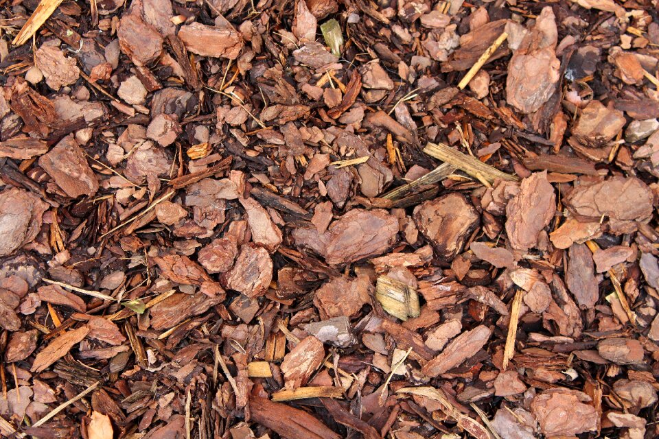 Dry texture the background