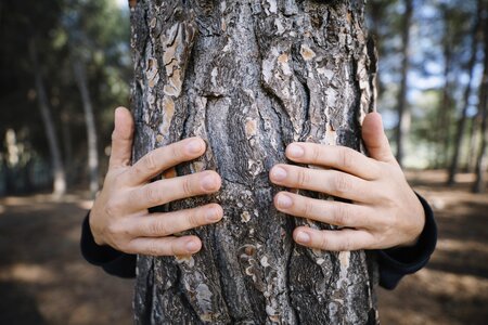 Wood people male photo