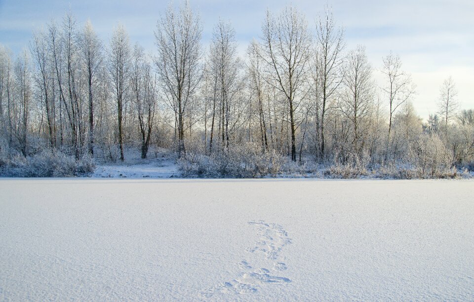 Landscapes day outdoor