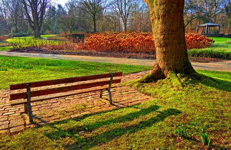 Path hortensia park photo